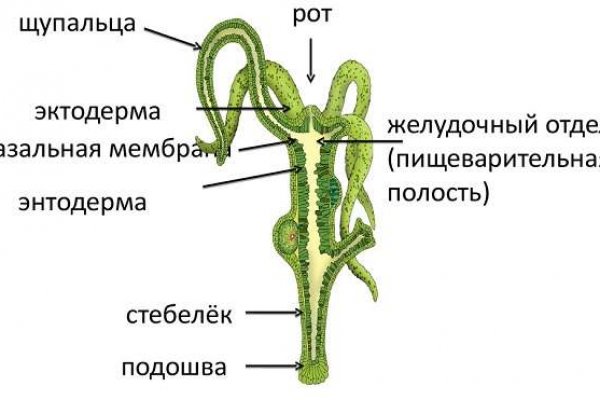 Ссылки для tor